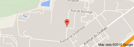 vidya europe Sas location